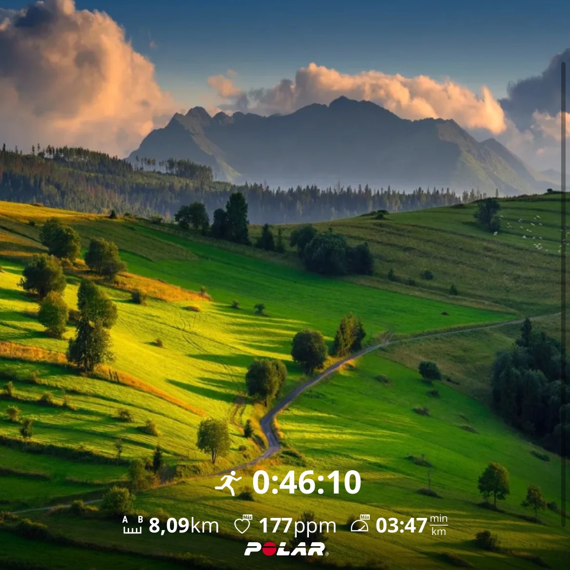 #PolarGritXPro 🌲☘️🌱🦖🌿🐸🐸🐸