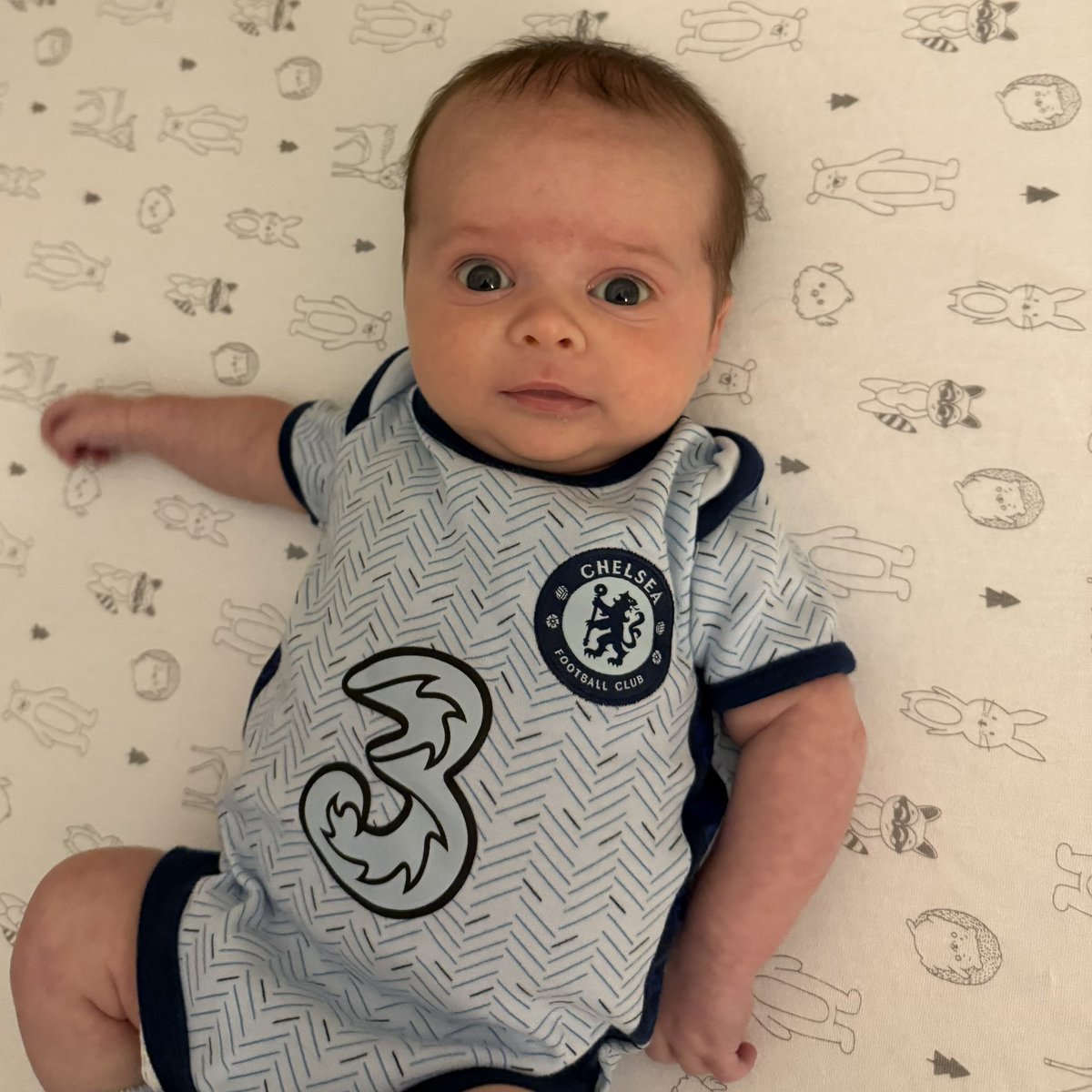 Up and ready on this Saturday morning in New Hampshire. 

Let’s go <a href="/ChelseaFC/">Chelsea FC</a>.

#MyPLMorning