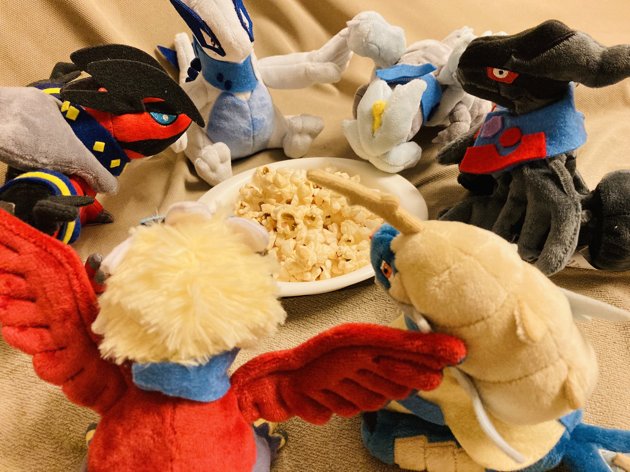 ポケモンfit フィット　11個まとめ売り ポケゲトちゃんねる＠ポケモンカードまとめ on X: 