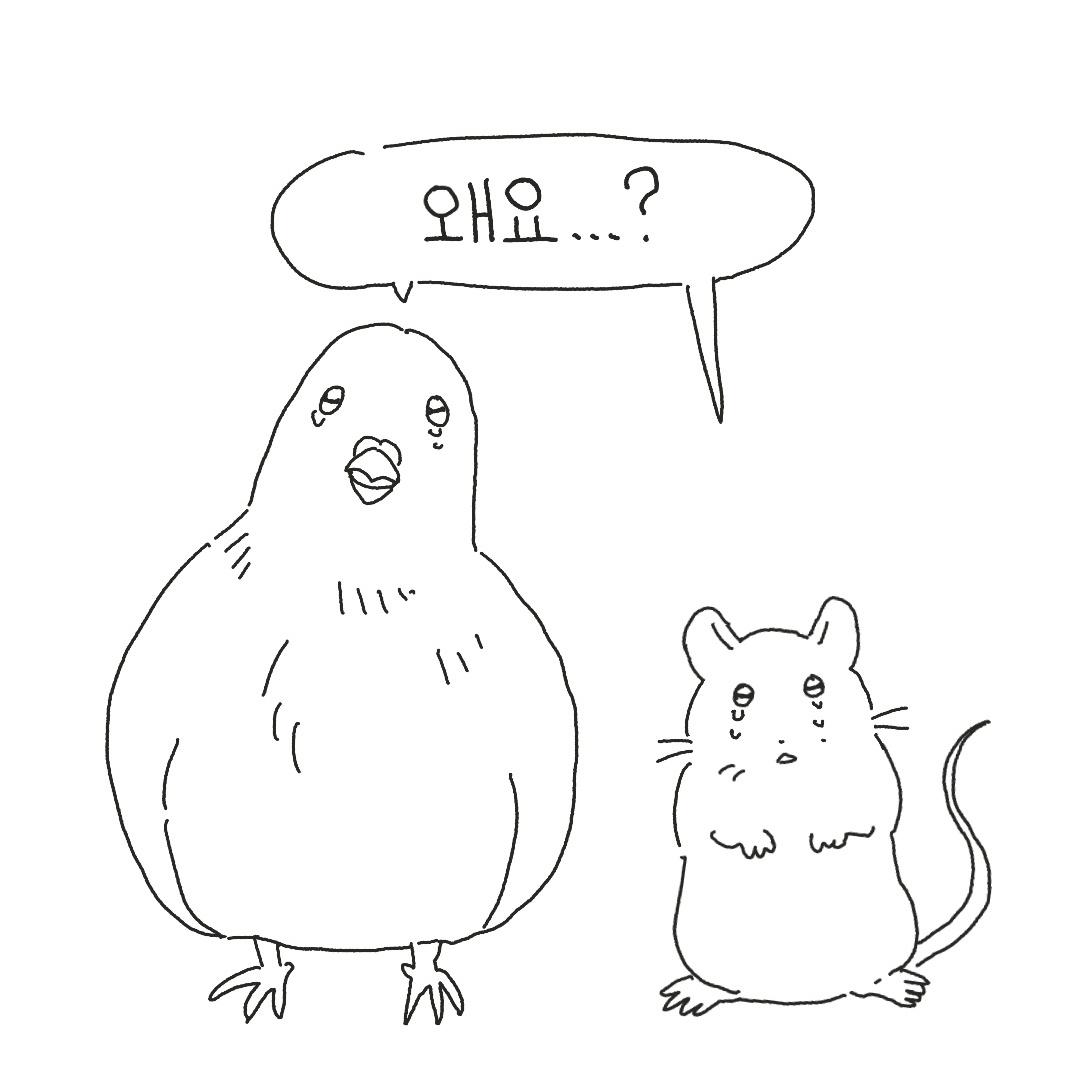 쥐도 새도 모르게 해