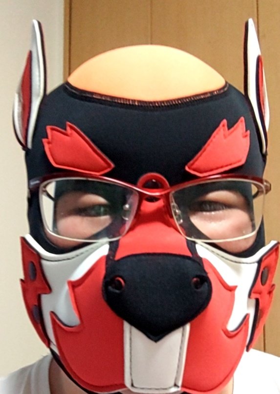 証明写真イヌ🐶
#顔だけで何リポスト来るか