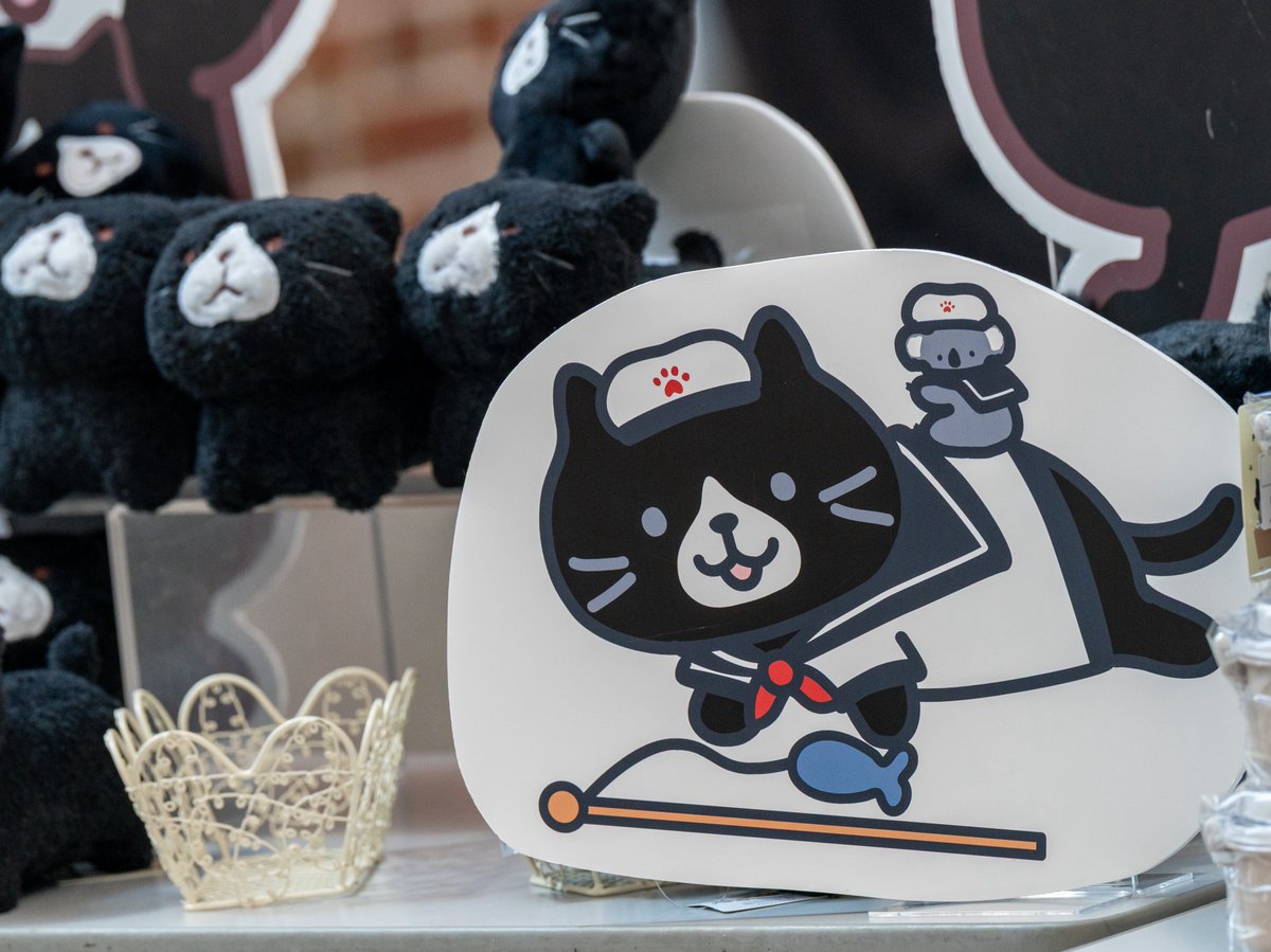 8/30 #横浜ワールドポーターズ の #ふくふくにゃんこ pop up marketのかわいいにゃんこたちを記念撮影２📸
#ふくふくにゃんこ集会