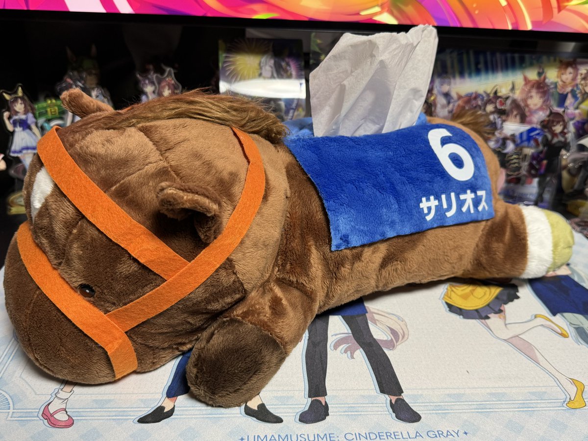 先日頼んだサリオスのボックスティッシュカバーが届いてた🐴 この商品