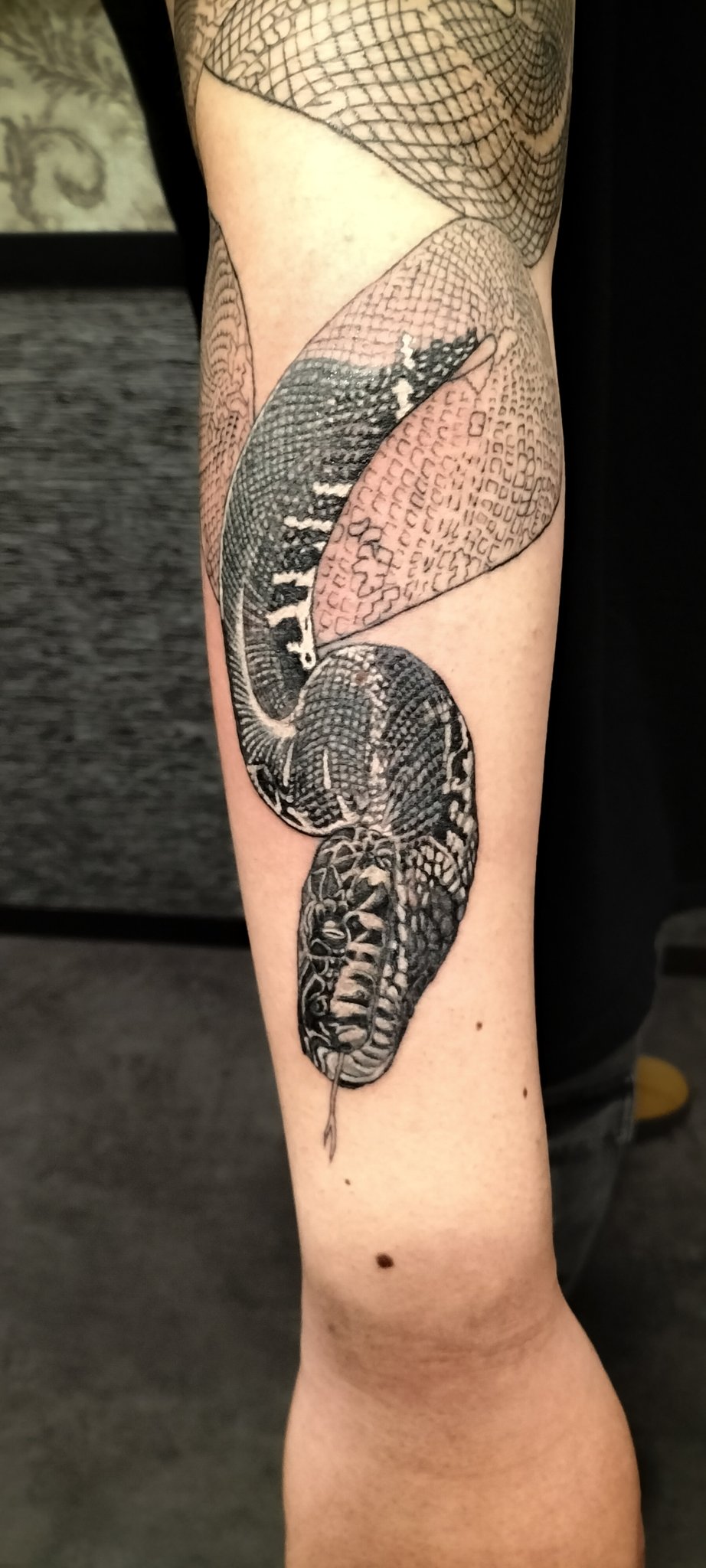 tattoo #刺青 四神獣 完成 @xtremetattooink @inkspire.japan @gainmgzn #四神