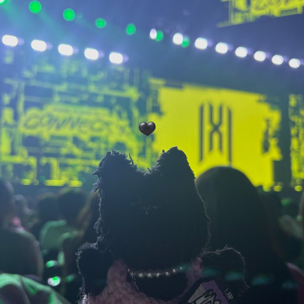 🐈‍⬛🩶 tweet media