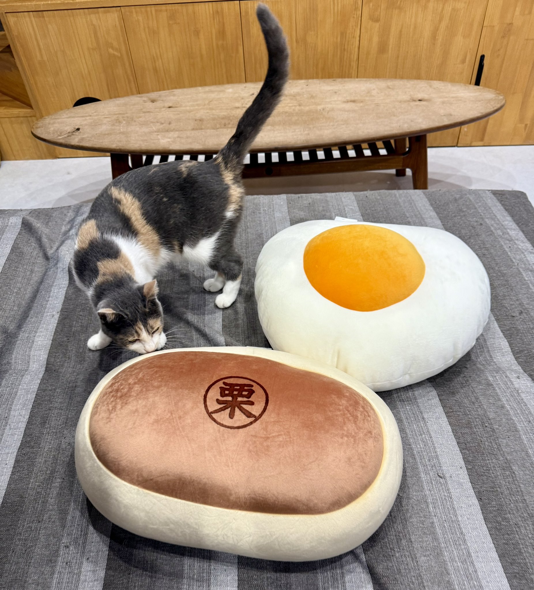 かねごん (@kanegon1019) / X