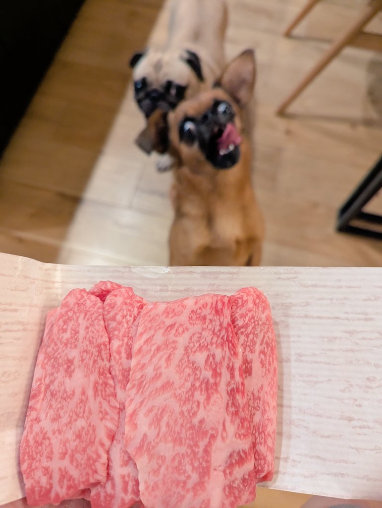 いい肉、どーん