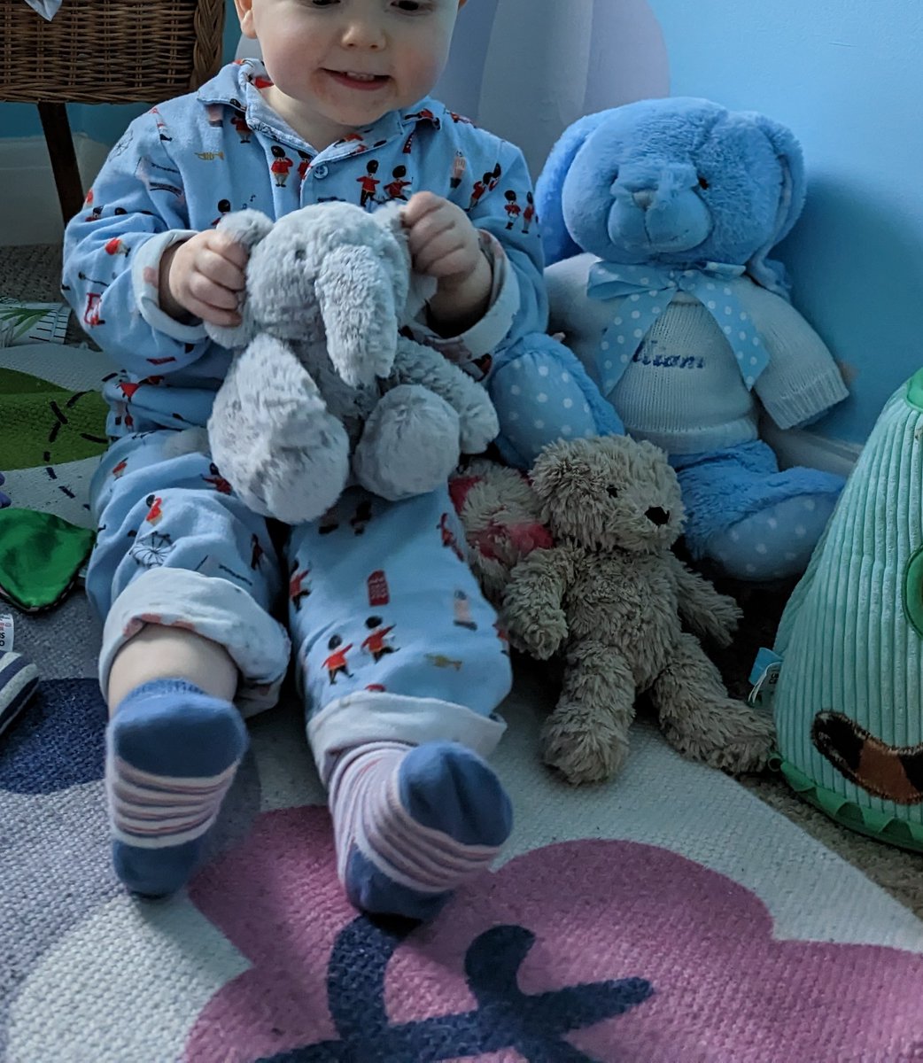 MichelleCDawson's tweet photo. Ellie my son's elephant was left on @jet2tweets flight from #Lanzarote to #londonstansted #airport on 28 Aug. He is missing him so much please help find him #lost #found #jet2 #jetsholidays #missing https://t.co/ip9BlgISif