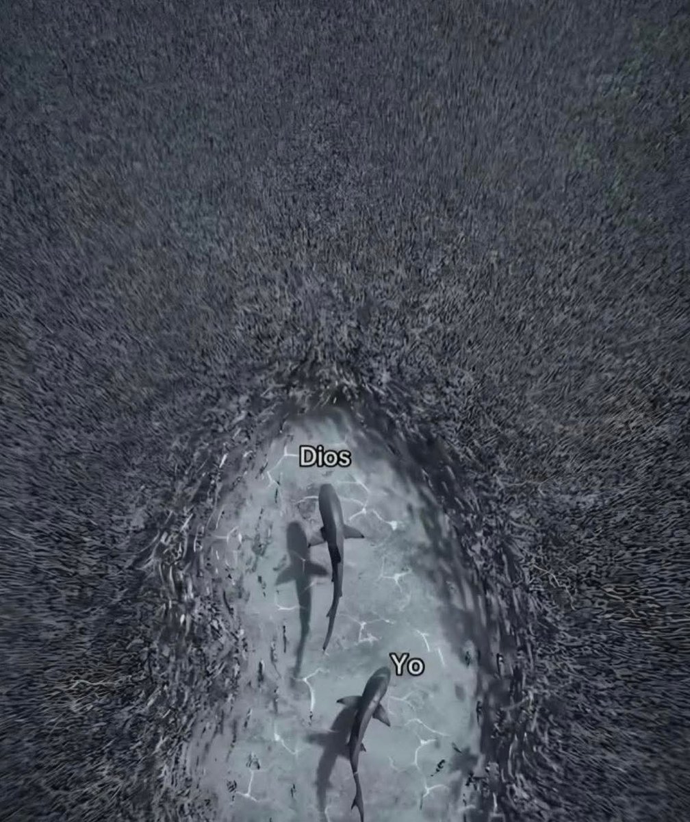 Y porque estás tan seguro que vas a poder?