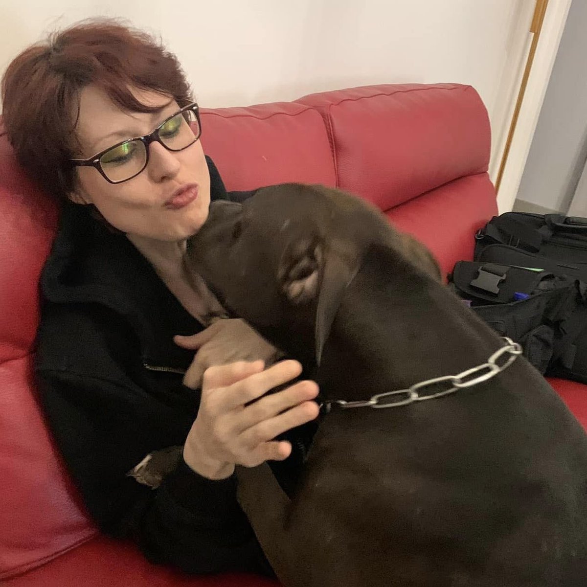 PhenrirMailoki's tweet image. Non vedo l’ora di tornare a Palermo e spupazzarlo.
#doggo #pitbull