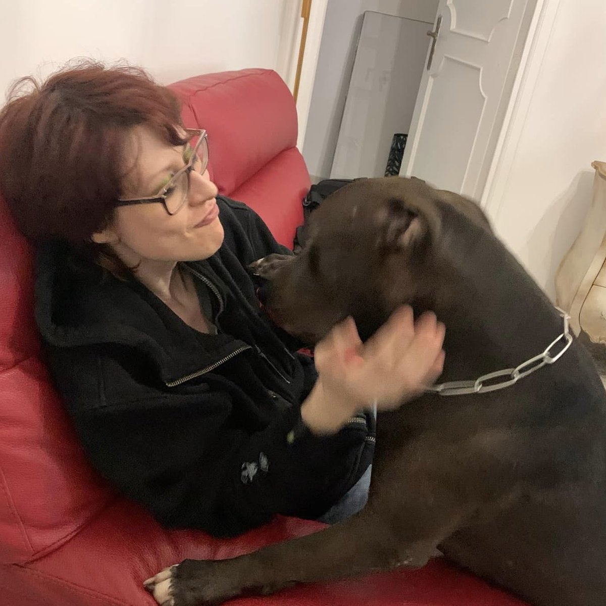 PhenrirMailoki's tweet image. Non vedo l’ora di tornare a Palermo e spupazzarlo.
#doggo #pitbull