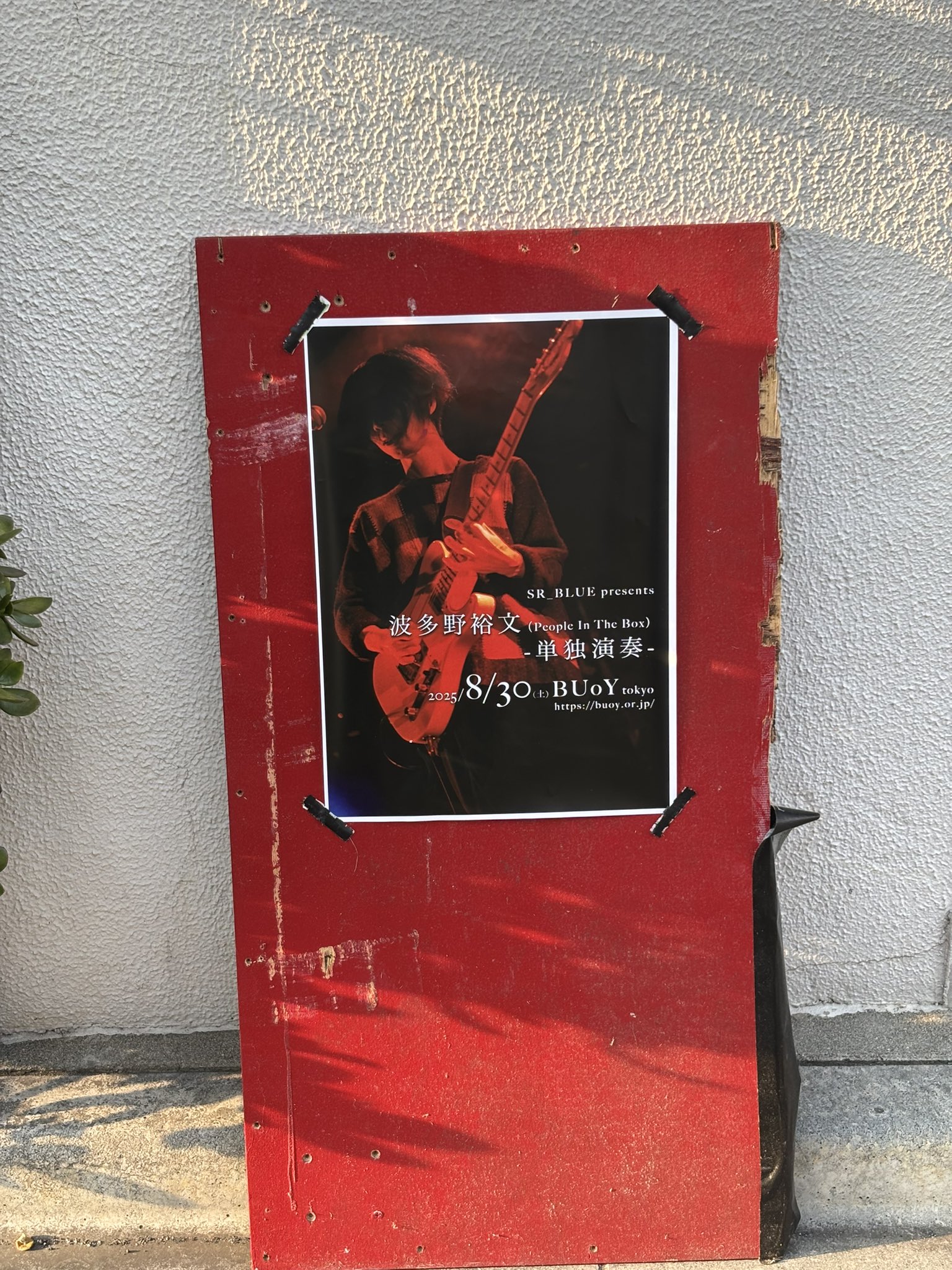 People in the box 波多野裕文　CDとDVD セット 波多野裕文・People In The Box CD&DVD