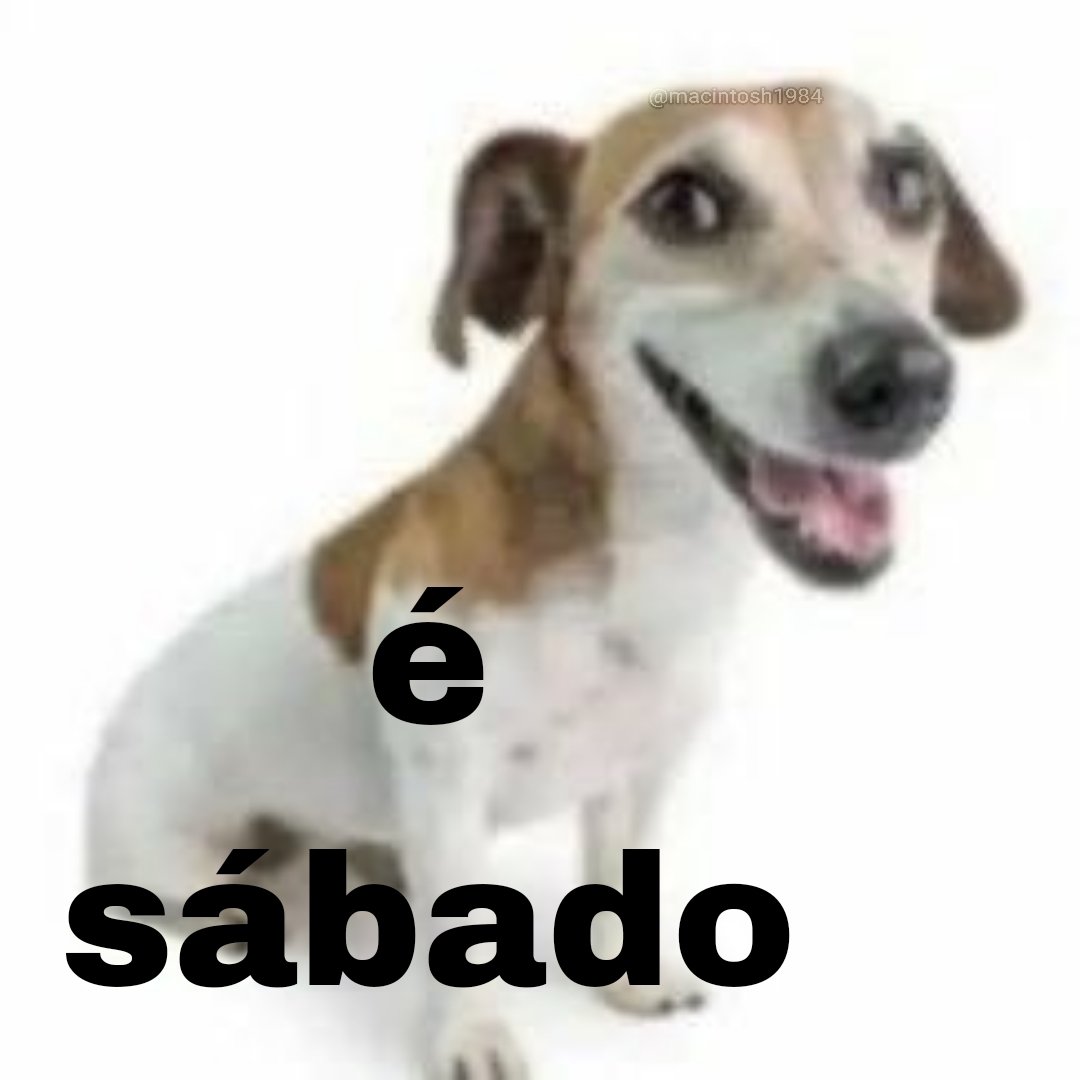 Macintosh tweet media