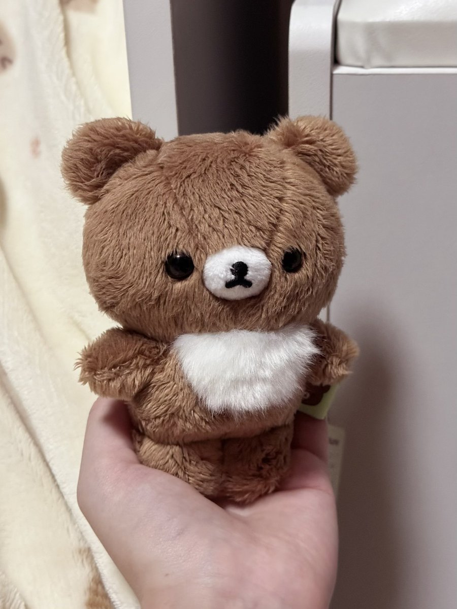 立てるチャイロイコグマミニぬいぐるみ🧸 タグもかわいいです