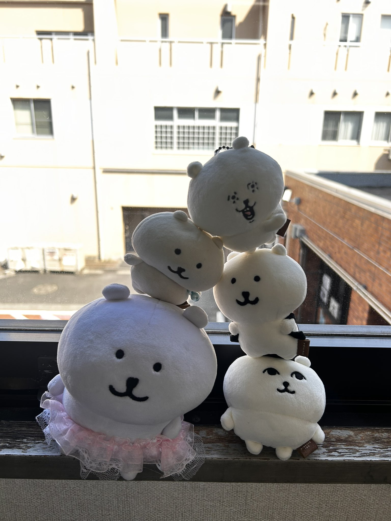 くまっち様　おまとめ たつ on X: 