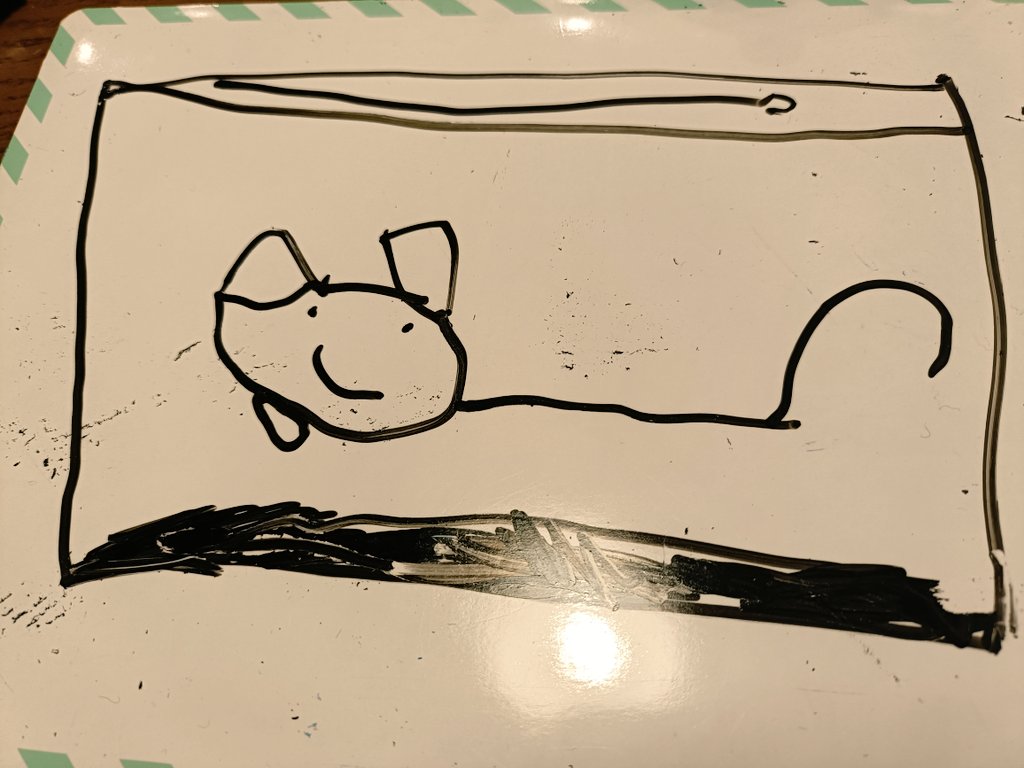 これは息子が描いたアルキィです。🌼