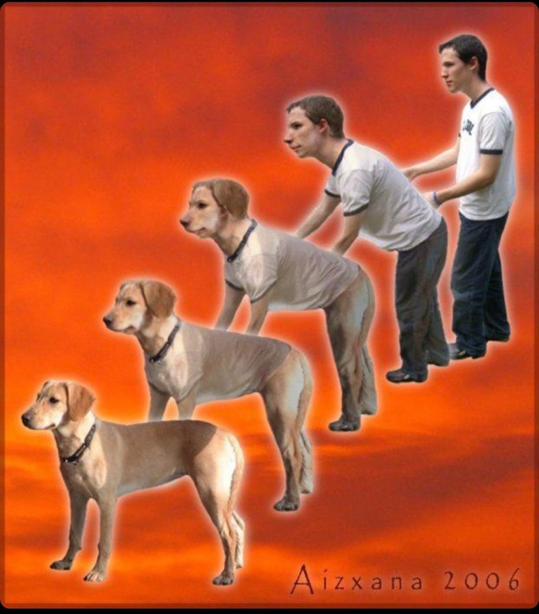 Devolution into good boy