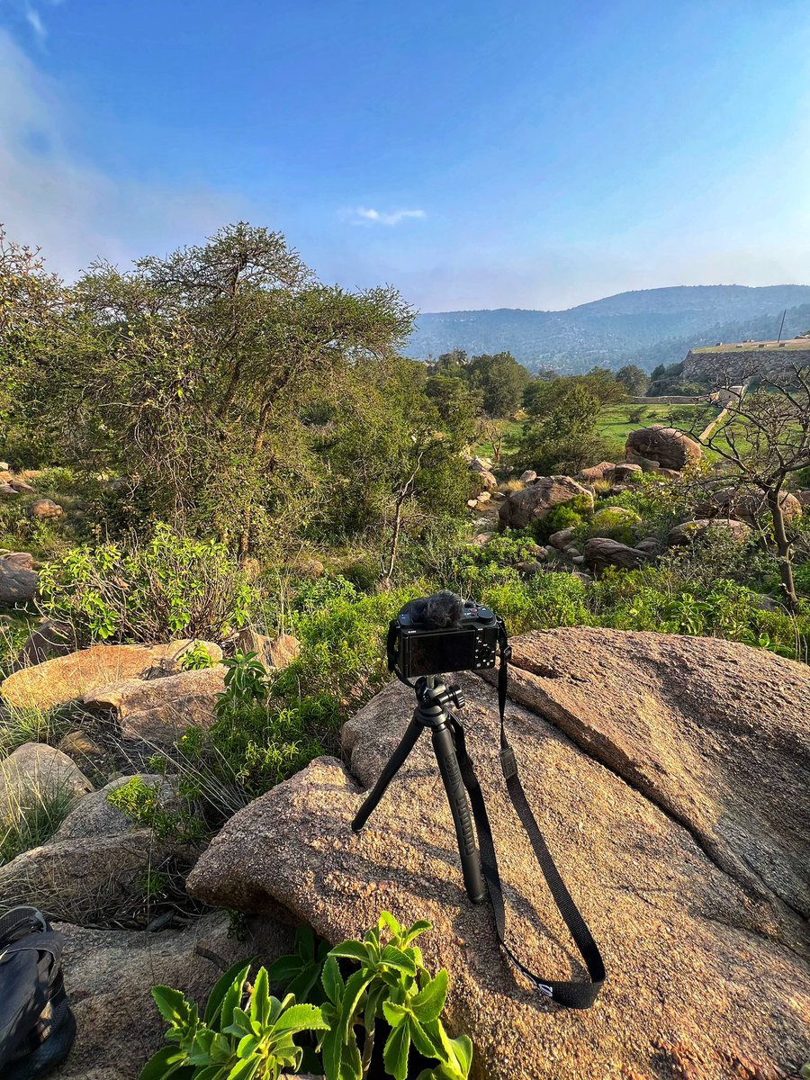 زامـل د. أطفال (@izmlmd) on Twitter photo 