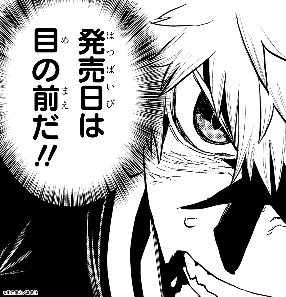 『鵺の陰陽師』11巻 代葉&七咲オーロラアクリルボード　当選　非売品　抽選 鵺の陰陽師』11巻 代葉&七咲オーロラアクリルボード 当選 非売品 抽選