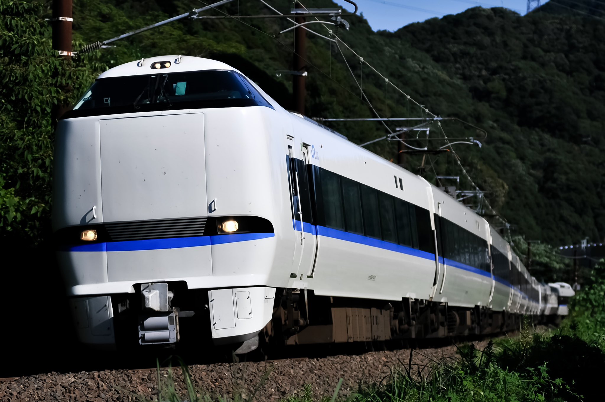 しらたま satuma-online_kannsou-siratamafu