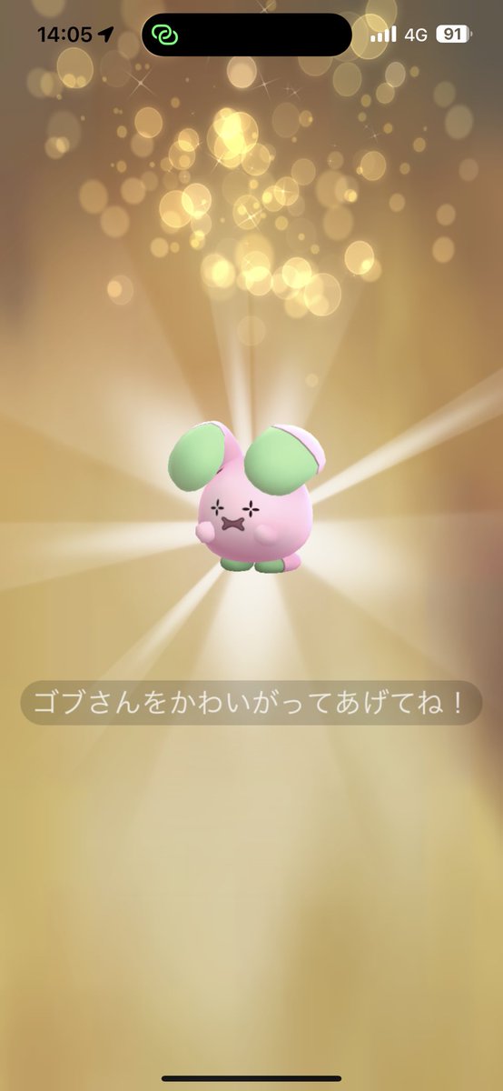 ココガラコミュデイお疲れ様でした！
ゆるっと100取れて、色違いガラルサンダーいただきました！

キラ&amp;色違いは777匹目まで達成しました！

交換いつもありがとうございます！