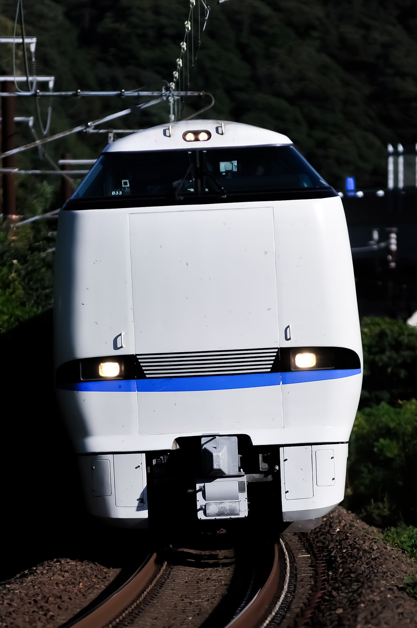 しらさぎ on X: 