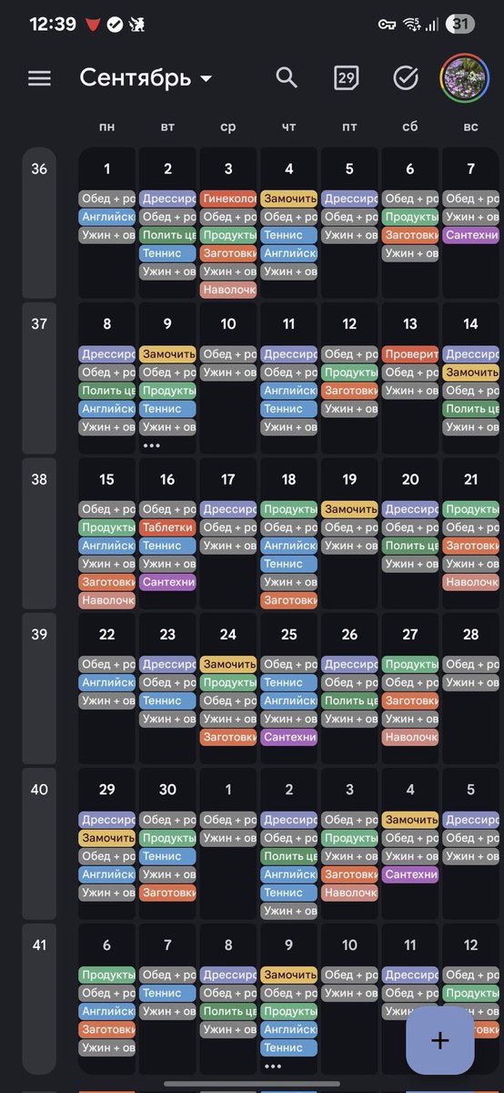А если не записывать обед, ужин и покупку продуктов, то что?