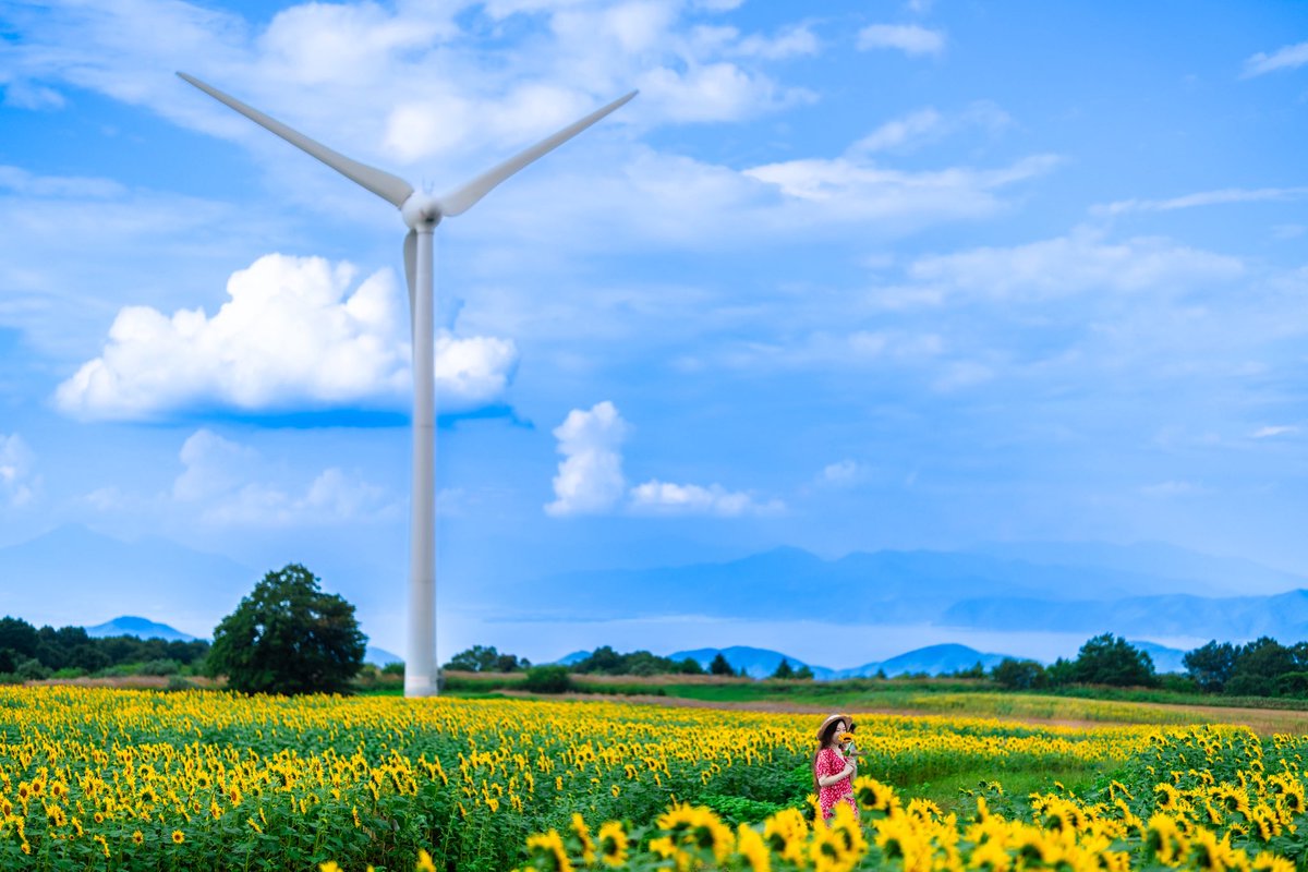 風車のある景色 - Search / X