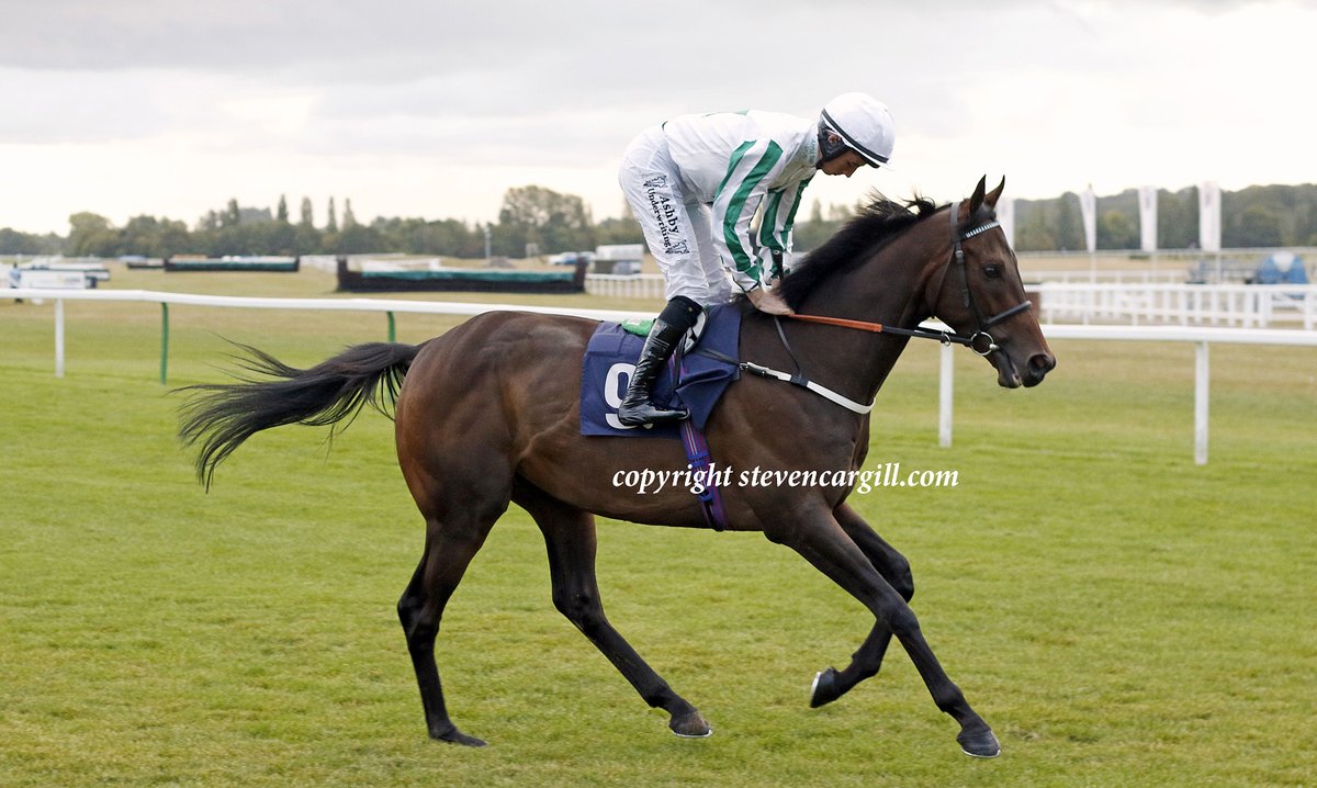 Steven Cargill tweet media