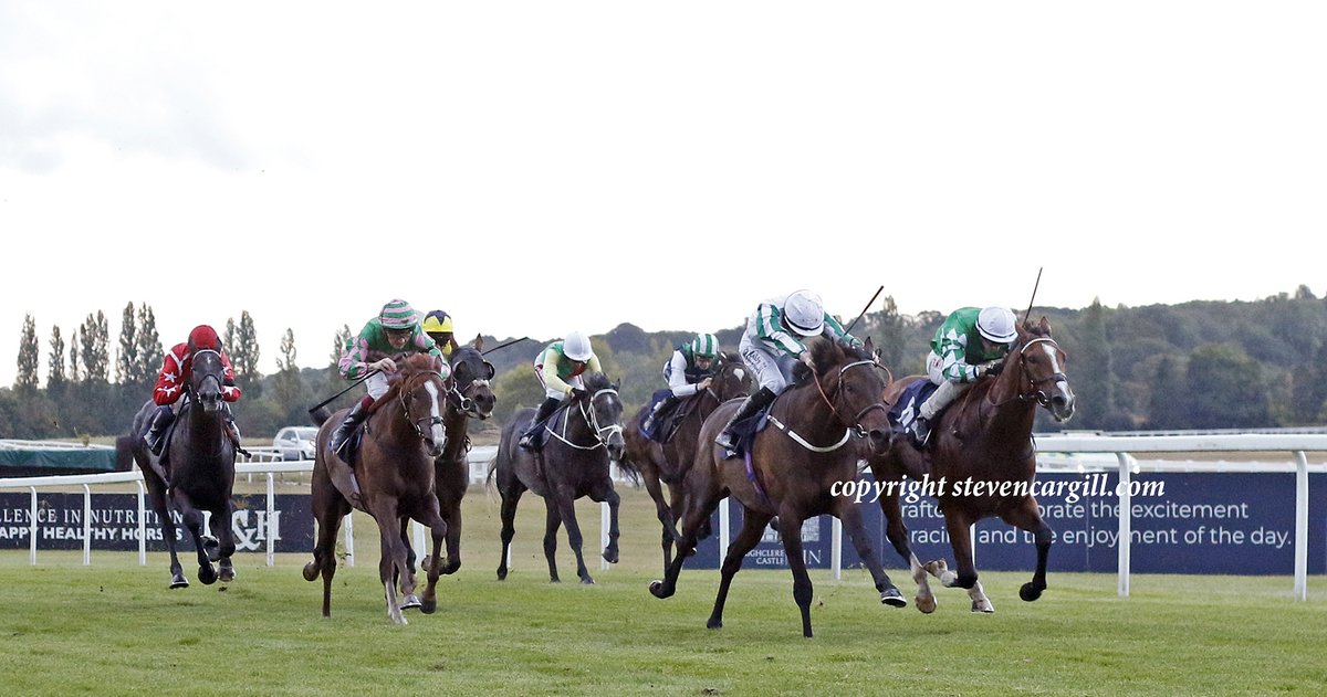 Steven Cargill tweet media