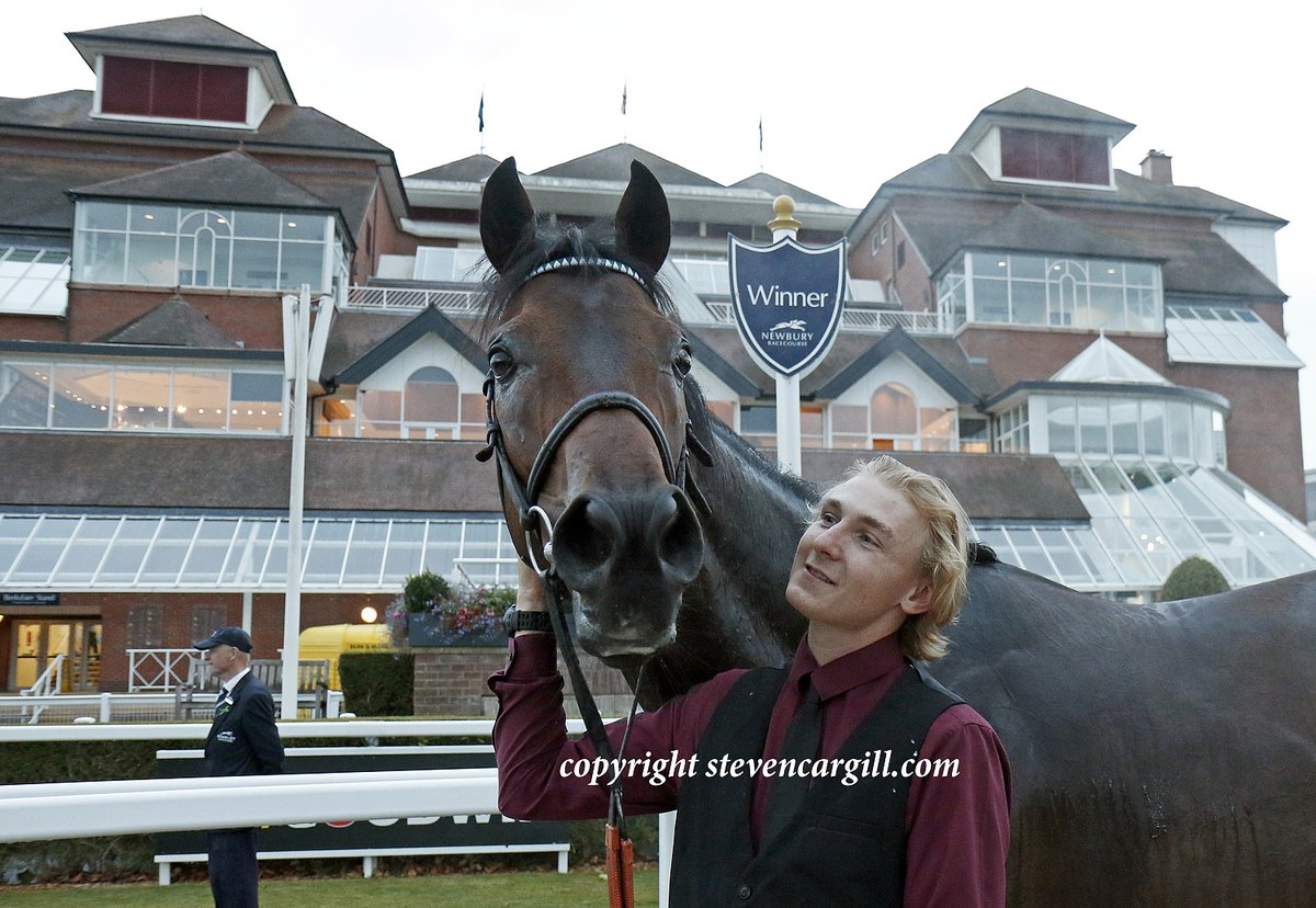 2nd win for gelding KING AL <a href="/Rossaryan15/">Rossa Ryan</a> in 10f 3yo handicap <a href="/NewburyRacing/">Newbury Racecourse</a> on Thursday night for <a href="/OakgroveStud/">Oakgrove Stud</a> Al Kazeem and trainer Alan King