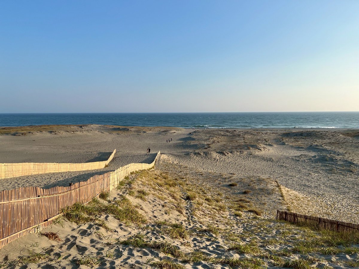 koichi_kawakami's tweet image. ツイデモしましょう
8月30日(土) 21:00〜
#PCR検査と治療薬の公費負担を求めます
コロナは終息していません. これまでに15万人以上が亡くなり, 後遺症は推定数百万人.第13波が猛威をふるい, 今や日本のコロナ禍は米国よりわるい状況です.検査,治療薬,ワクチンが高価です.…