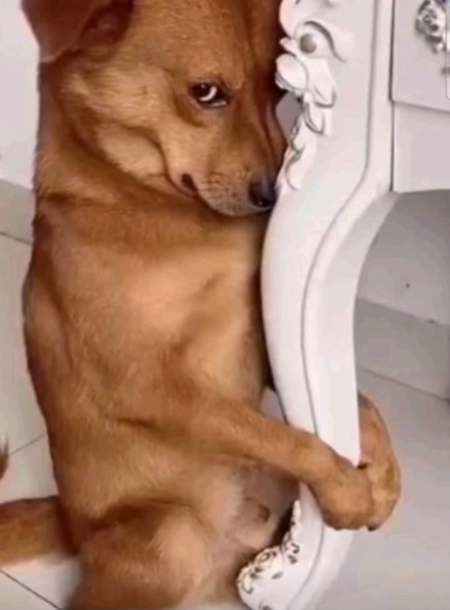 how it feels being on edtwt and not losing any weight