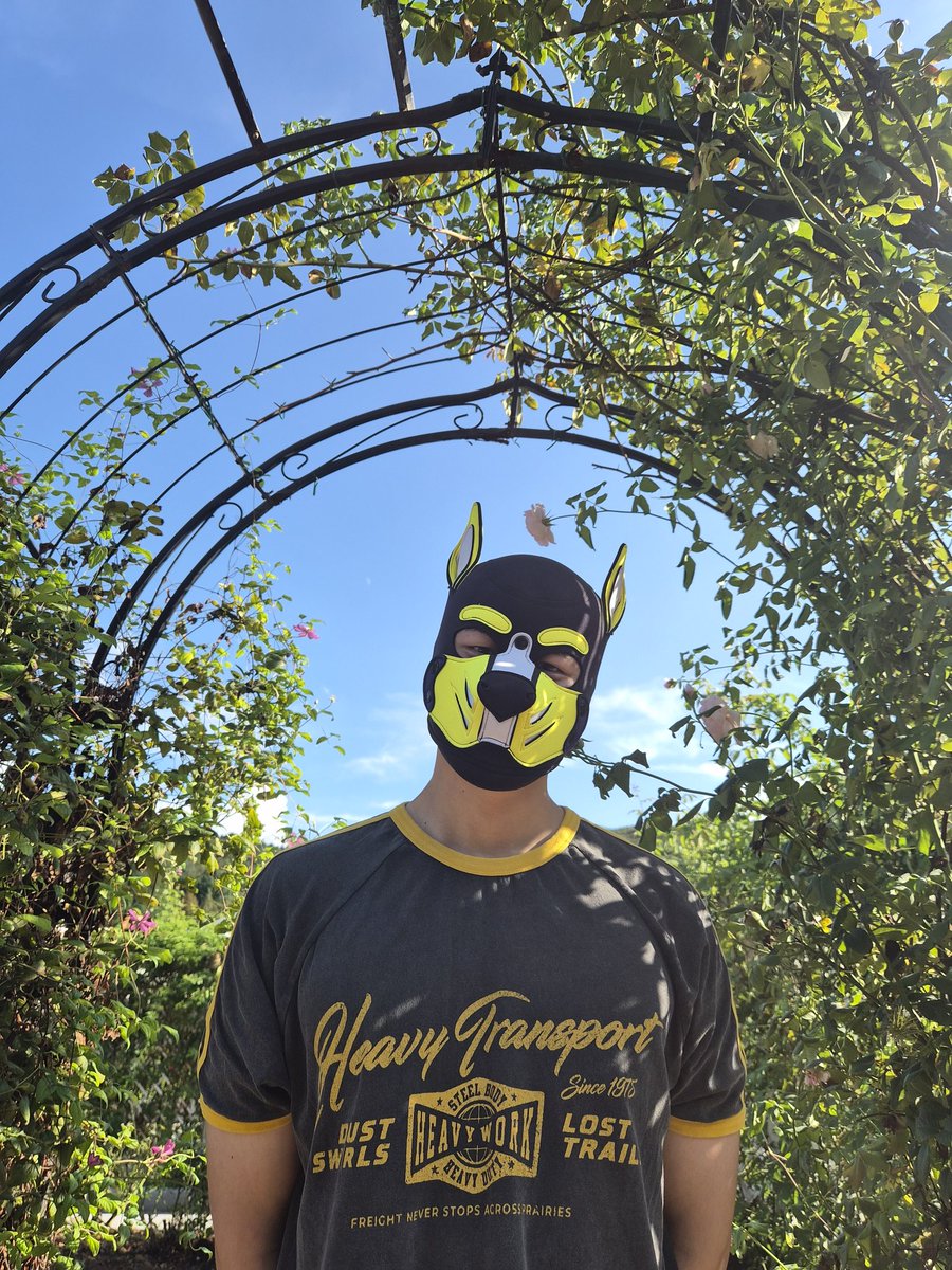 📸 <a href="/nogogo777/">로키</a>