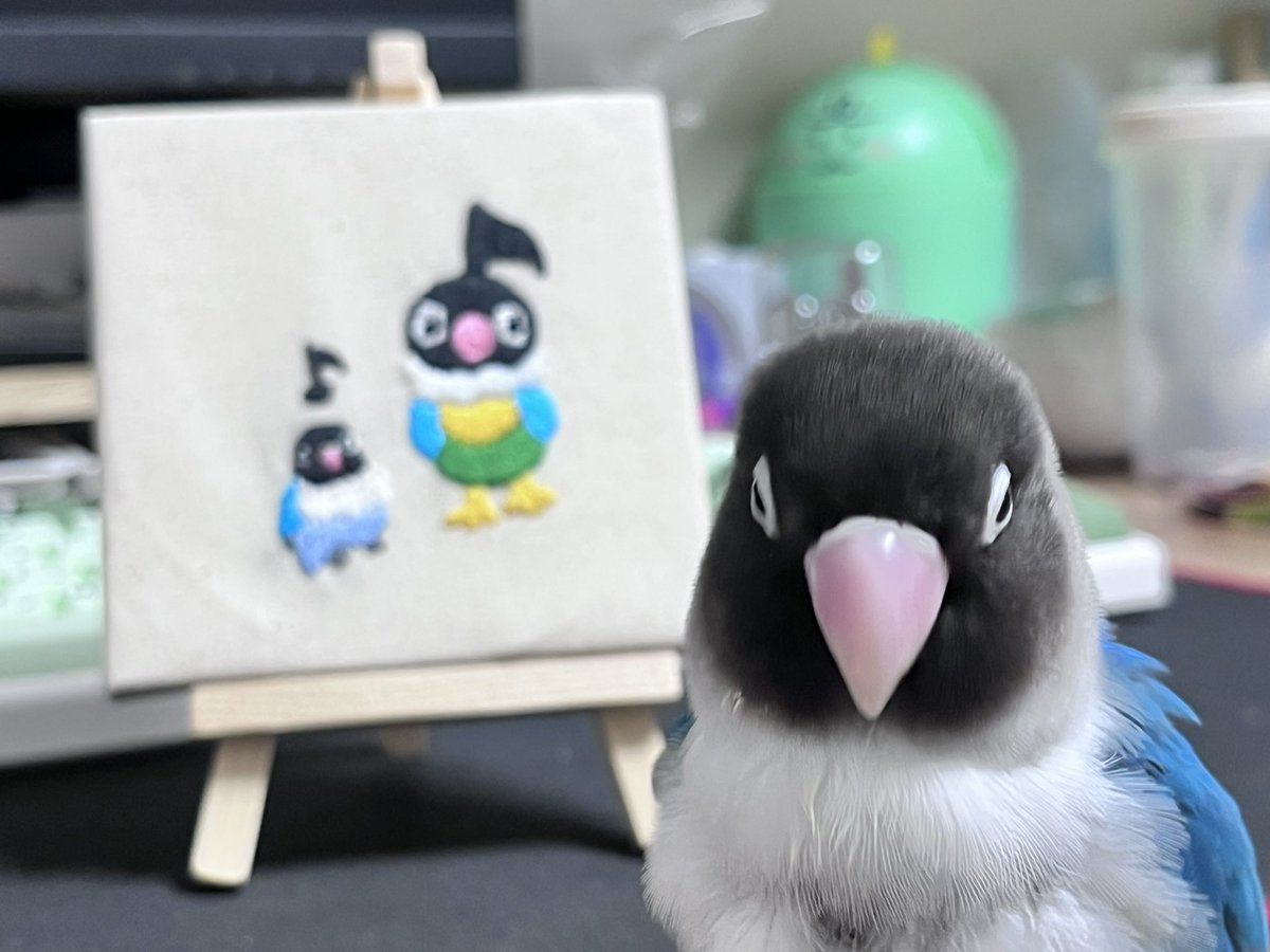 앵팔자가 상팔자 tweet media