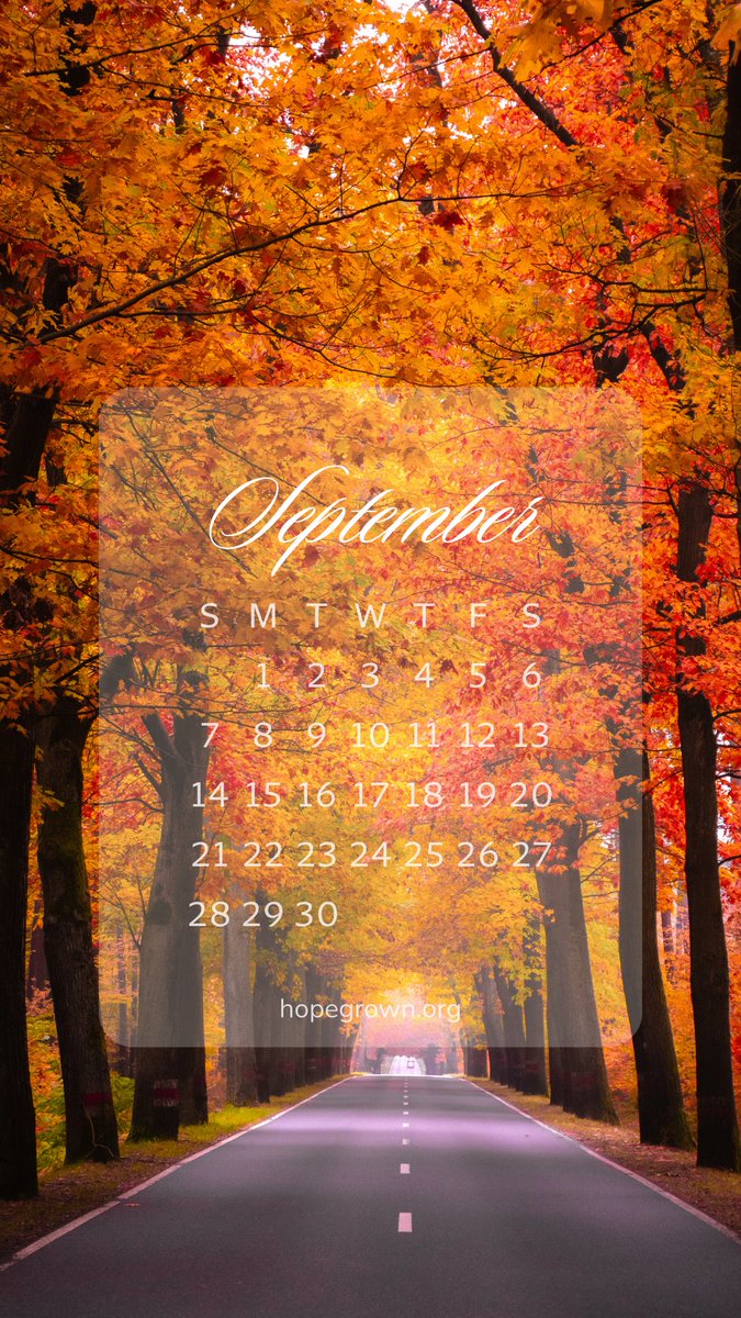 Step into September with our free wallpapers that capture the beauty of transition-where summer's warmth meets autumn's glow. #freewallpaper #phonewallpaper #iPhoneWallpaper 

hopegrown.org/blog/free-aest…