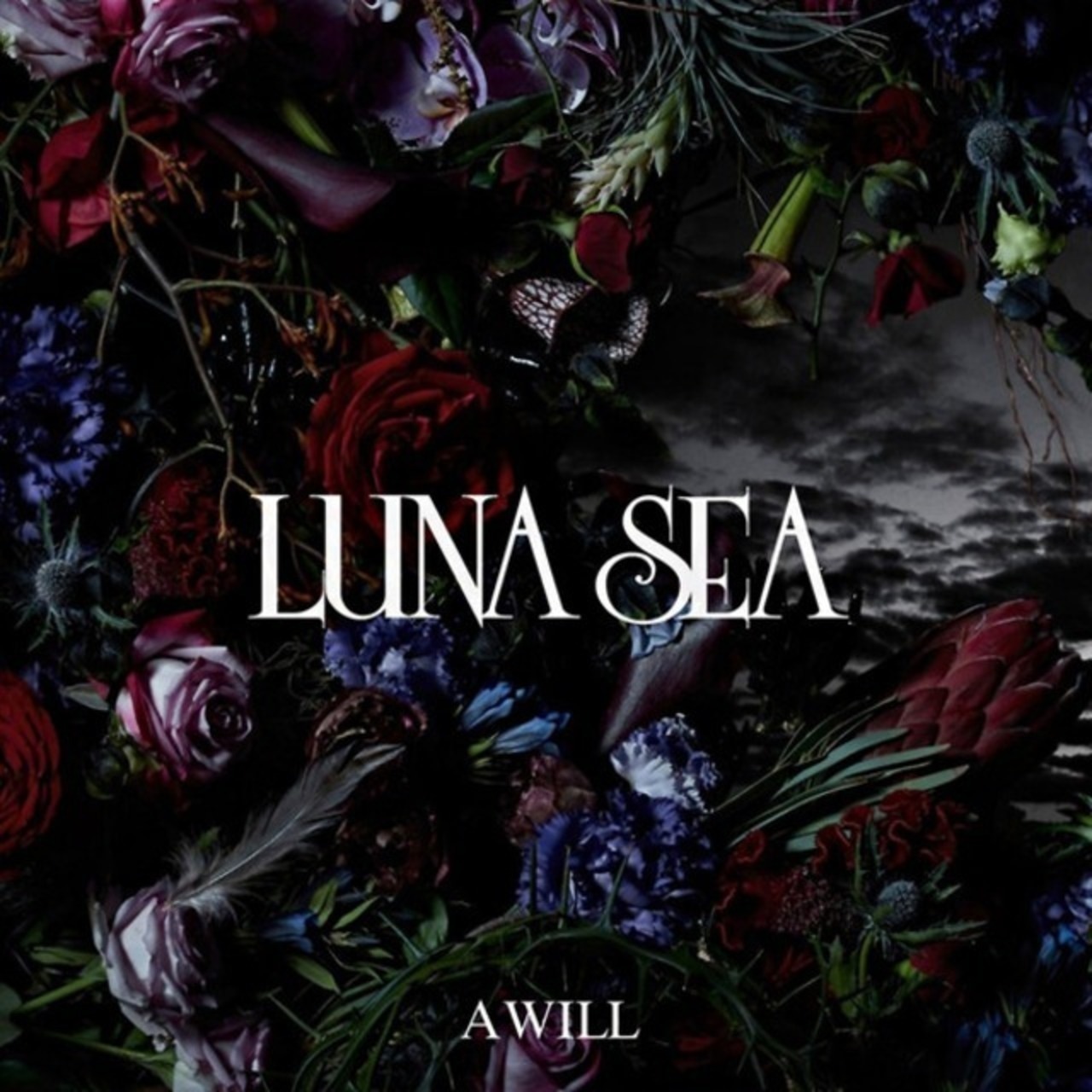 luna sea LP レコード　lunacy 7th album ルナシー luna sea LP レコード lunacy 7th album ルナシー