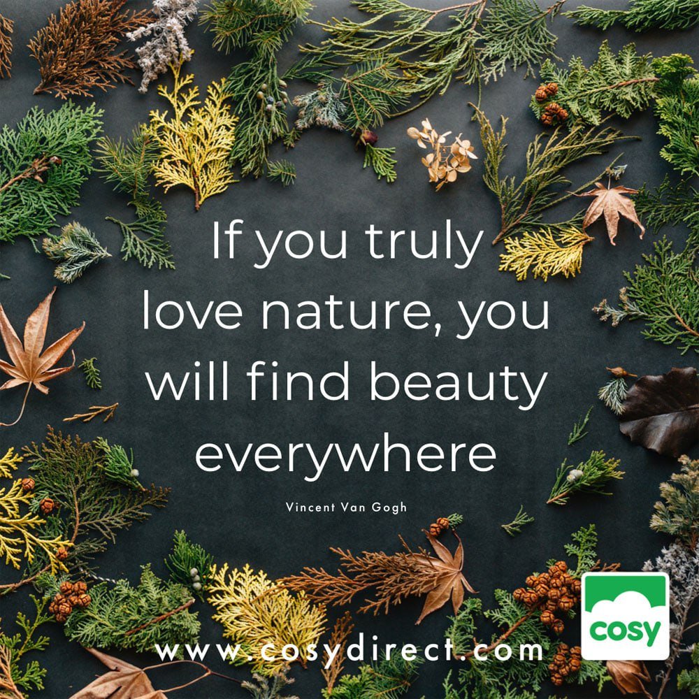 scoobythc's tweet image. 