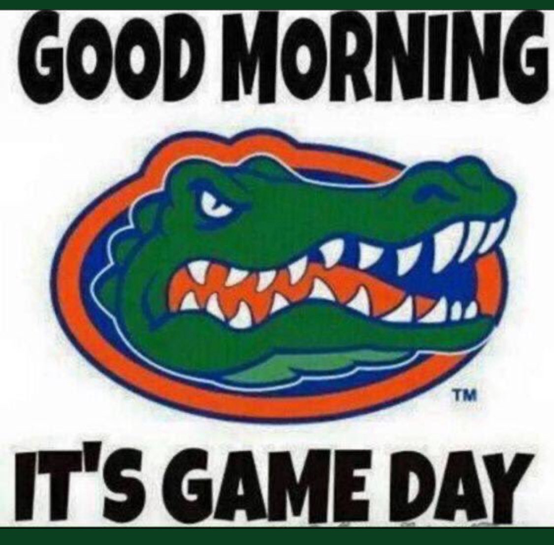 Christopher Milite (@cmilitegator) on Twitter photo 