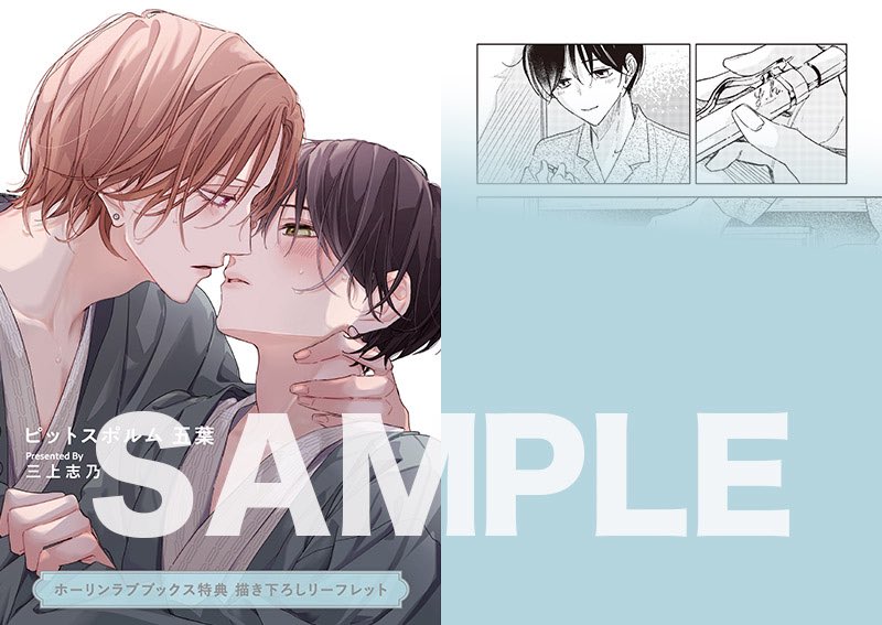 特典「ピットスポルム 五葉／三上志乃」ホーリンラブブックス リーフレット＋カード 有償特典付き】三上志乃先生「ピットスポルム 三葉