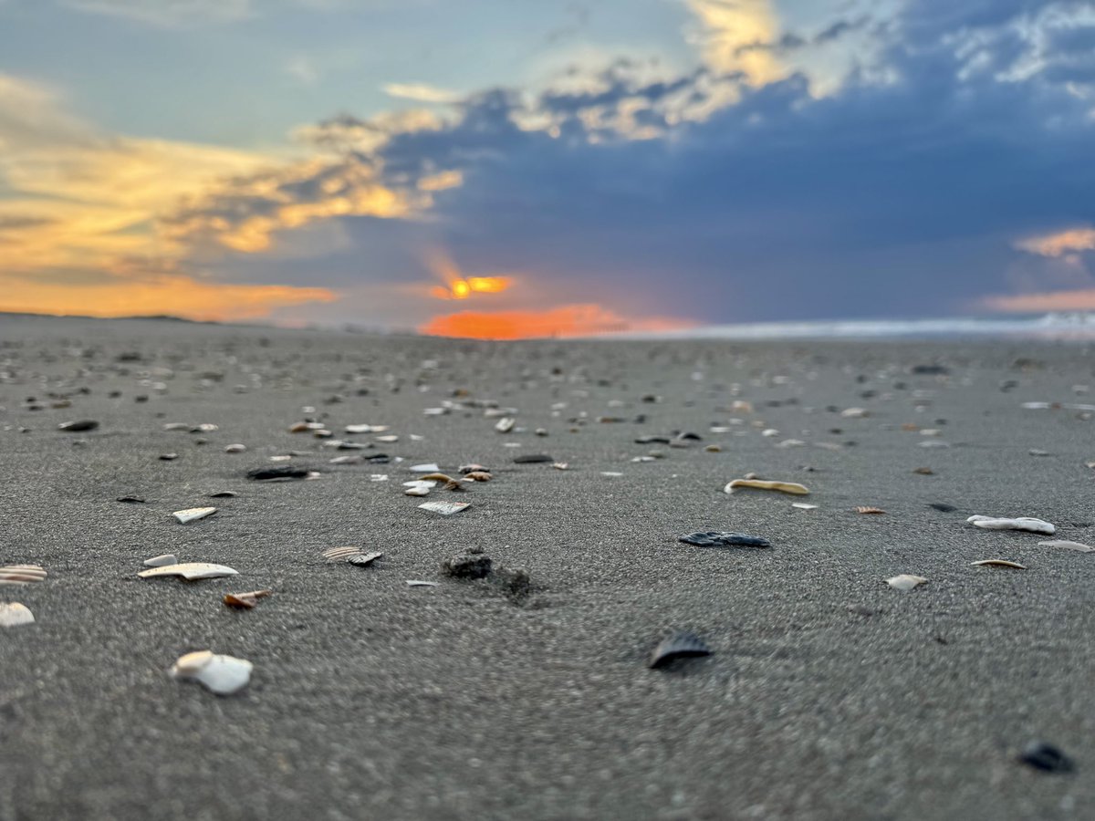 Good morning from coastal NC.