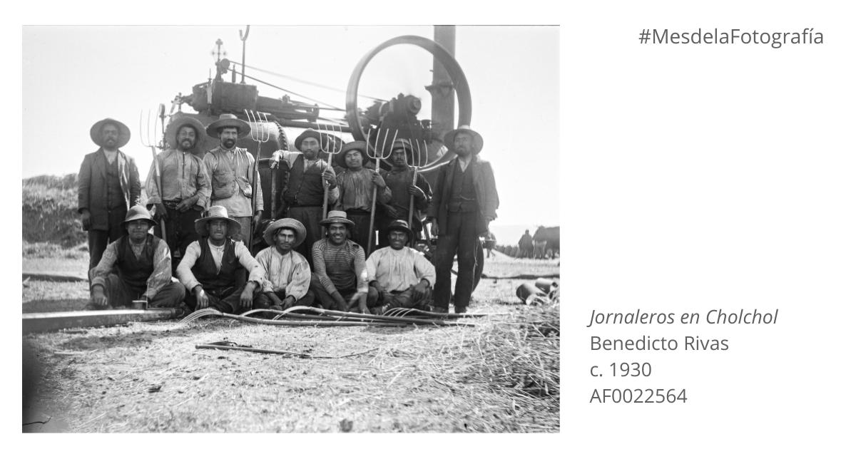 MemoriaChilena's tweet photo. A comienzos del siglo XX, el agricultor Benedicto Rivas realizó un registro fotográfico de la vida rural de Cholchol (Región de la Araucanía): su gente, la agricultura y más. 
Explora la colección completa en la #BNd:
https://t.co/hlePzfbXsF
#MesdelaFotografía https://t.co/cEimAK1p3J