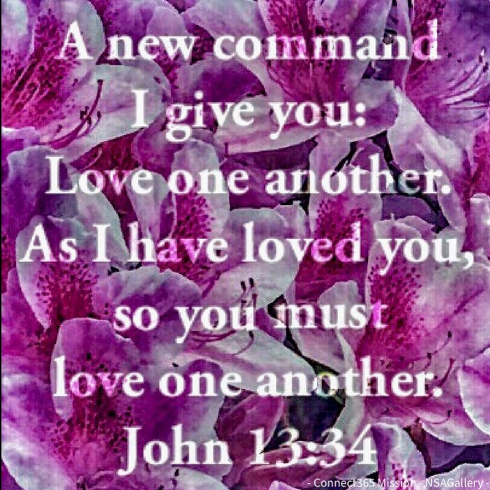 Michael P Ascani (@savlifeonline) on Twitter photo 