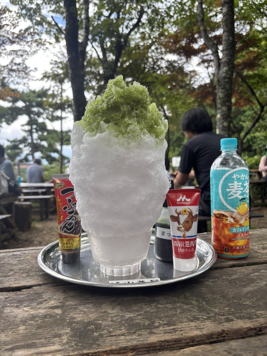 今日は抹茶尽くしだったワンよ♪
甘いものばかりでお腹壊さないかな
#リブハート
#りぶはあと
#ねむねむアニマルズ 
#ぬい活
#ぬいぐるみじゃありません家族です
#ぬい撮り