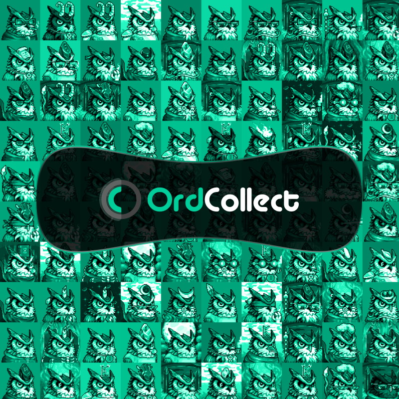 Owldrich (🦉, ₿) tweet media