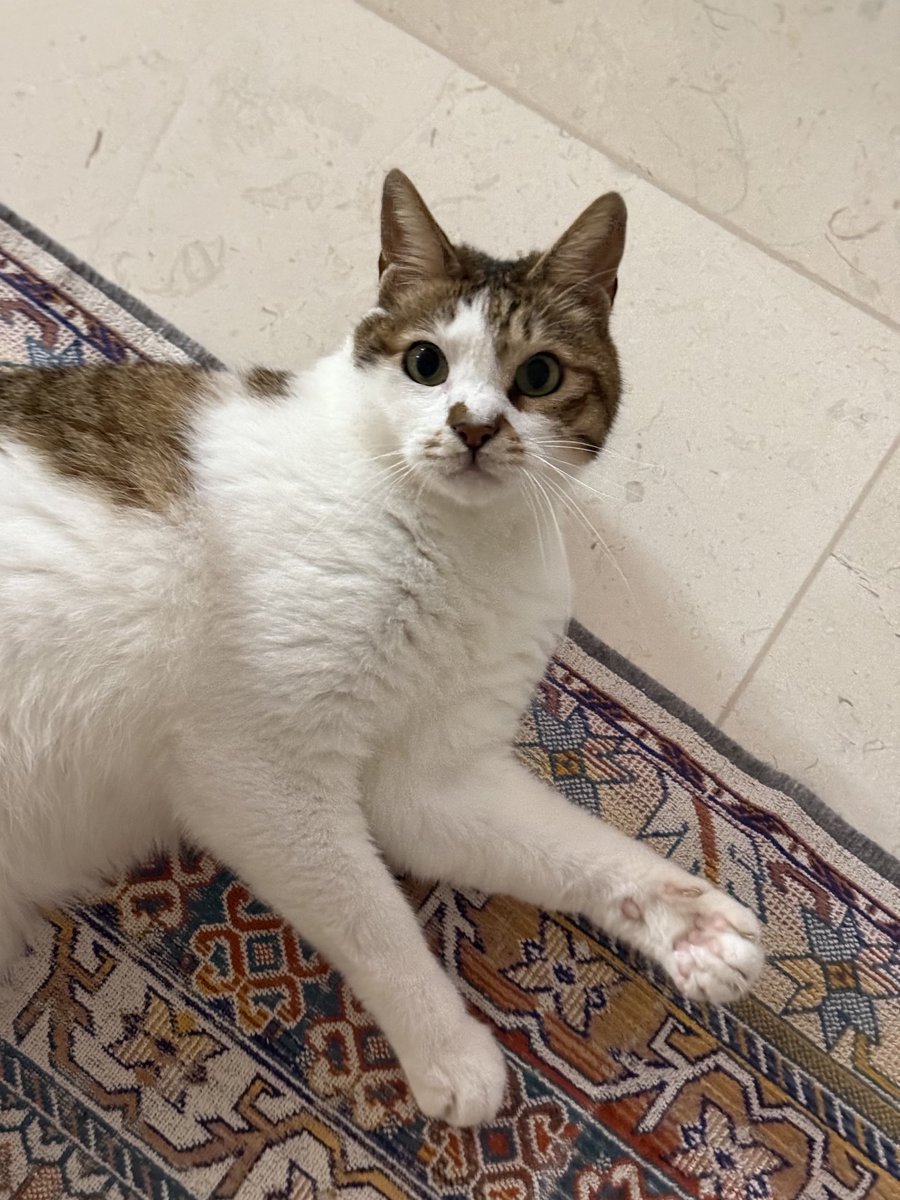 왜     너도 젤리로 눌러줄까?