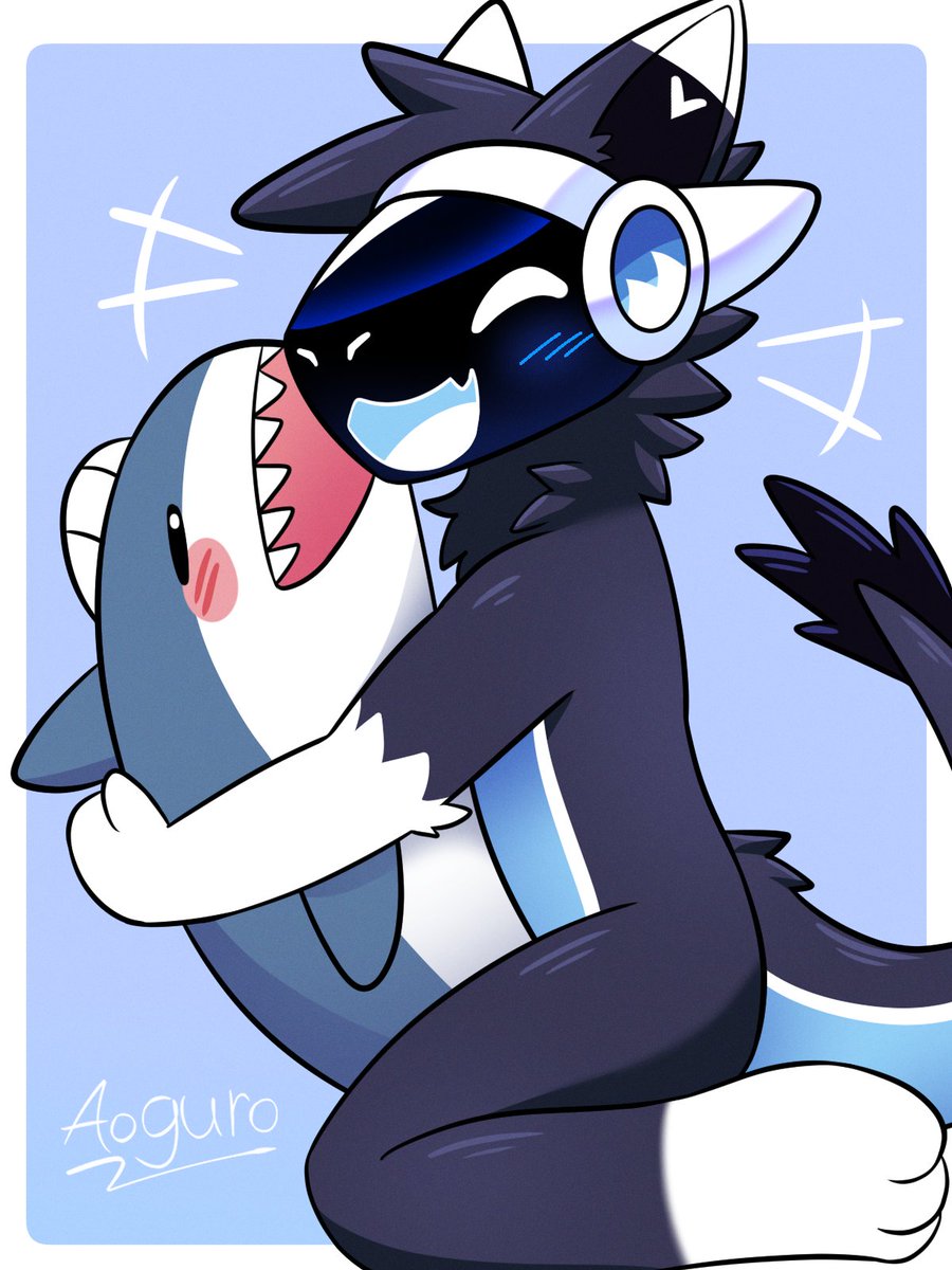 Shark🦈