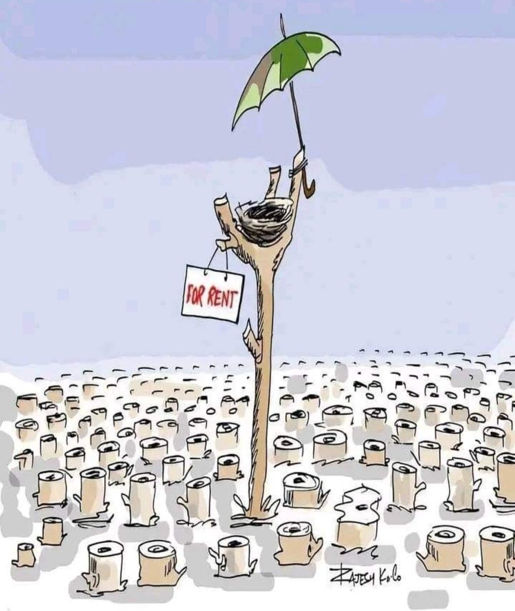Poojasharma_DB's tweet image. ज्यादा दूर नहीं ये दिन..सोचना चाहिए हमें इस बारे में।
#savetrees #environment