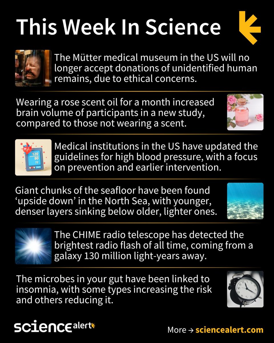 ScienceAlert's tweet image. This Week In Science (August 24–30) 🧪

New blood pressure guidelines, upside down seafloor, the brightest radio flash, and much more!

#ScienceNews #ScienceAlert #STEM #ThisWeekInScience #TWIS