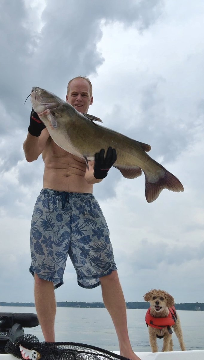 The Hornberger Lab tweet media